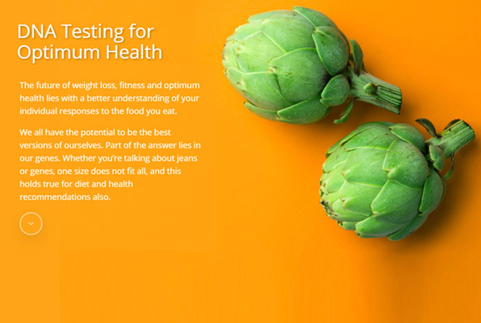 web design screenshot - photo of artichokes